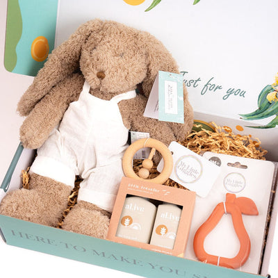 Welcome Home Baby Gift Hamper